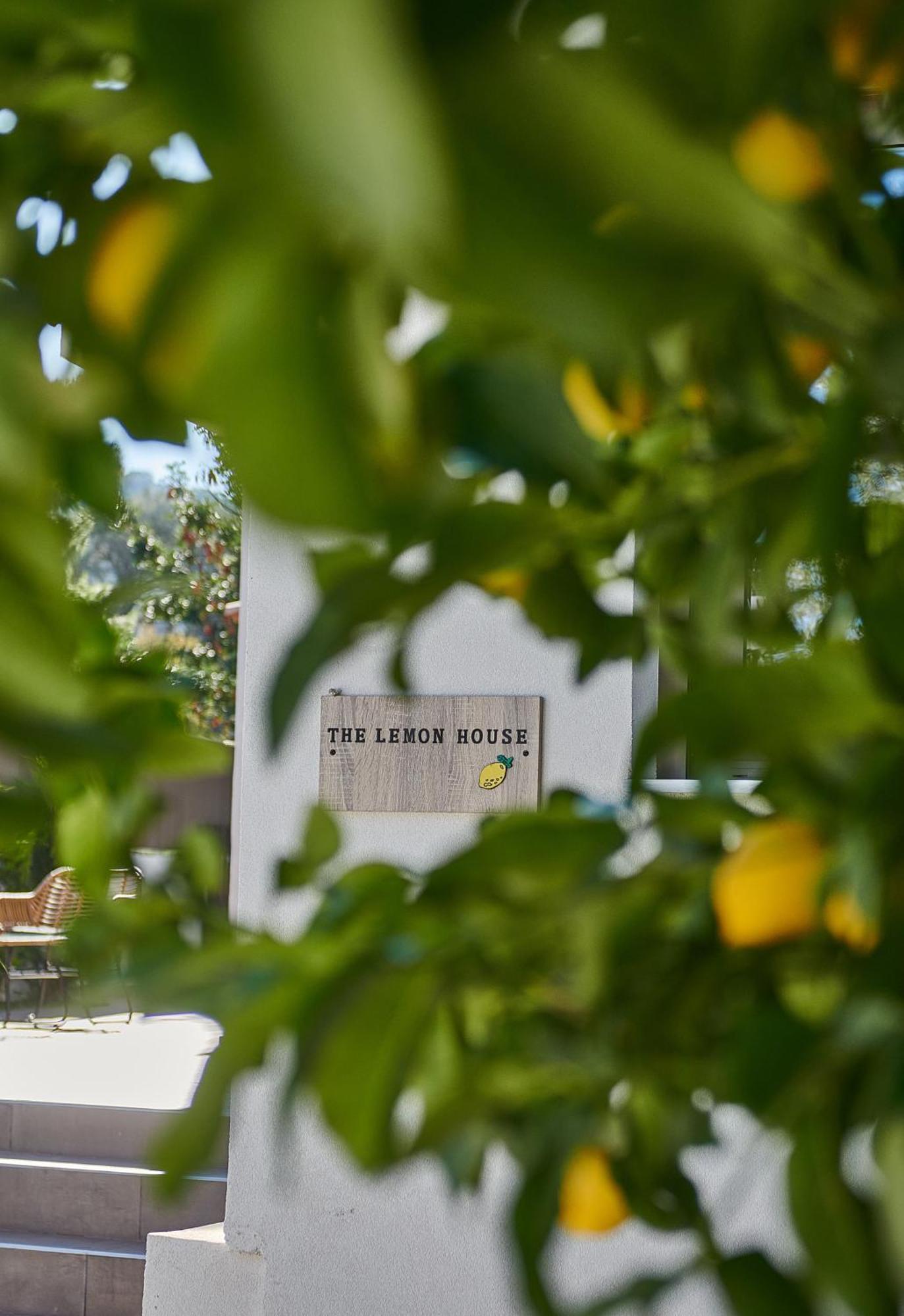 The Lemon House Apartment Artemida  Bagian luar foto
